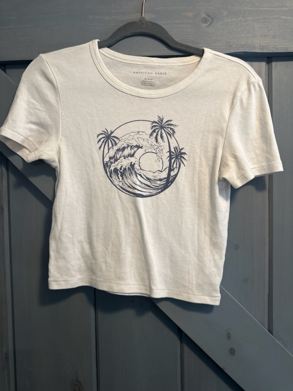 American Eagle Cropped Graphic Tee